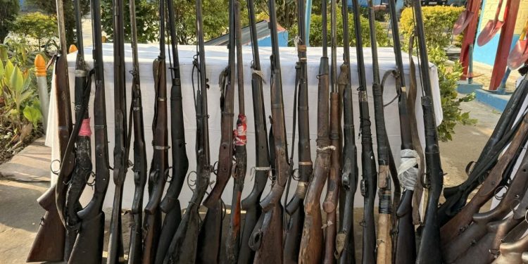 जङ्गल र गोठमा लुकाइएका भरुवा बन्दुक बरामद
