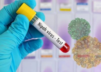 निपाह भाइरसबारे स्वास्थ्य मन्त्रालय : आतंकित होइन, सचेत र सजग बनौं