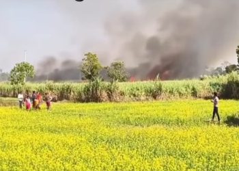 काट्नै लागिएको उखु खेतमा आगलागी, कृषक मारमा