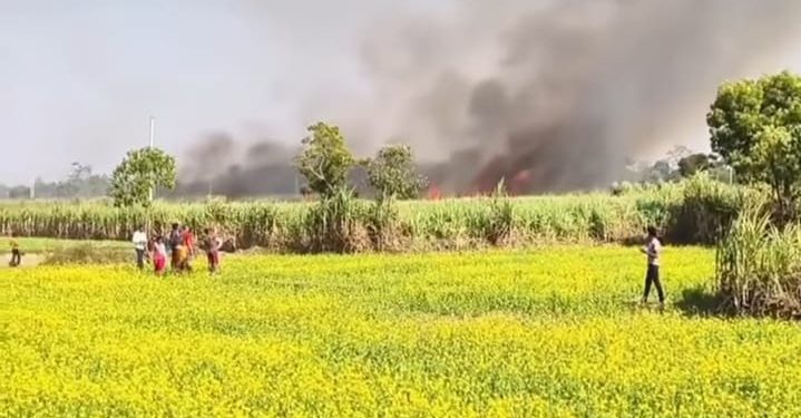 काट्नै लागिएको उखु खेतमा आगलागी, कृषक मारमा