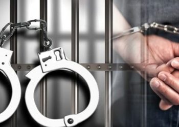 भारतबाट लागूऔषध तस्करी गर्ने गिरोह पक्राउ