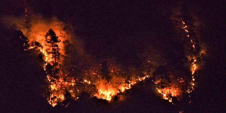 १३ वर्षमा १३ हजारभन्दा बढी वन डढेलोका घटना सार्वजनिक