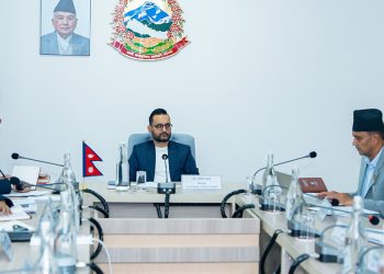 संविधान संशोधनका चार मुख्य एजेन्डा सार्वजनिक