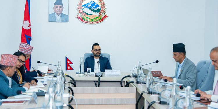 संविधान संशोधनका चार मुख्य एजेन्डा सार्वजनिक