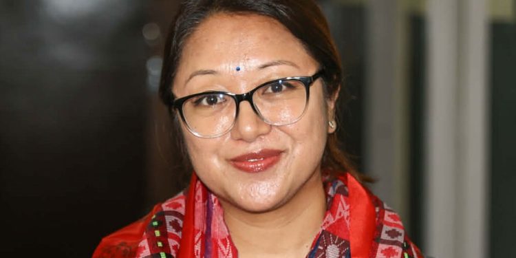 शिक्षा, स्वास्थ्य र आईटी समितिमा शेरचनको नेतृत्व