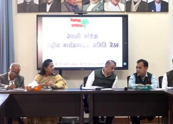 निजी सञ्चारमाथि विभेदपूर्ण नीति स्वीकार्य छैन : कांग्रेस