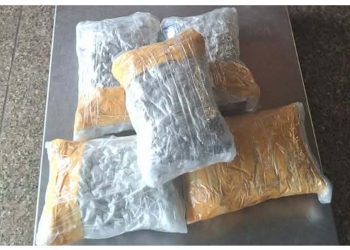 भन्सार जाँचमा लागूऔषध फेला, एक भारतीय नियन्त्रणमा