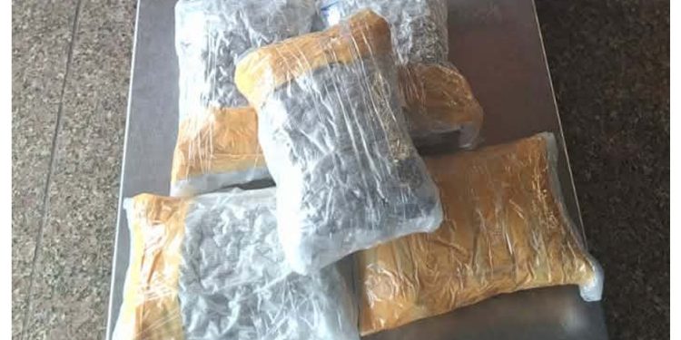 भन्सार जाँचमा लागूऔषध फेला, एक भारतीय नियन्त्रणमा