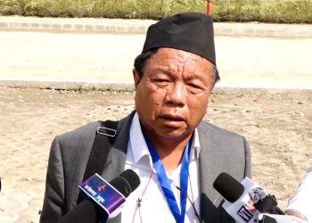 गल्ती स्वीकार्दा नेता सानो हुँदैन : पुनको टिप्पणी