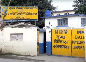 सीआईबीले डीडीसीका कागजात लियो नियन्त्रणमा