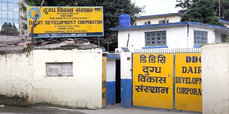 सीआईबीले डीडीसीका कागजात लियो नियन्त्रणमा