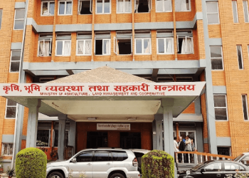 सरकारी जग्गामा बनेका संरचना हटाउन अन्तिम चेतावनी