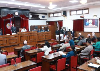 राष्ट्रियसभामा सरकारको नीति कार्यक्रम प्रस्तुत हुँदै