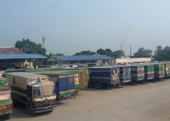भारतको निर्णयपछि नेपाली चिया निर्यात पुनः सुचारु