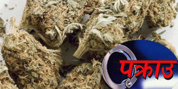 गढवा क्षेत्रमा गाँजासहित दुई युवक पक्राउ