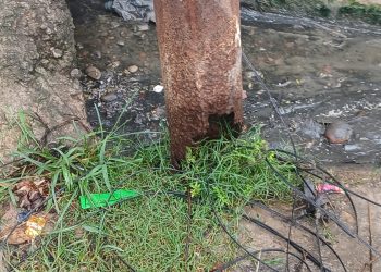 जनकपुरका गल्ली-गल्लीमा जीर्ण विद्युत पोल, दुर्घटनाको खतरा बढ्दो