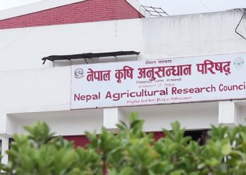 नार्कबाट बेपत्ता कर्मचारी हटाउने अभियान सुरु