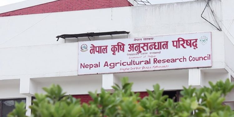 नार्कबाट बेपत्ता कर्मचारी हटाउने अभियान सुरु