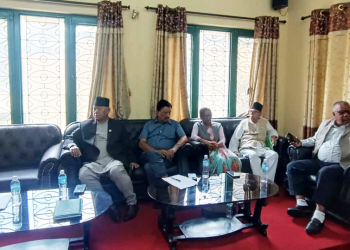 पार्टी संगठन बलियो बनाउन सांसदलाई कार्यादेश