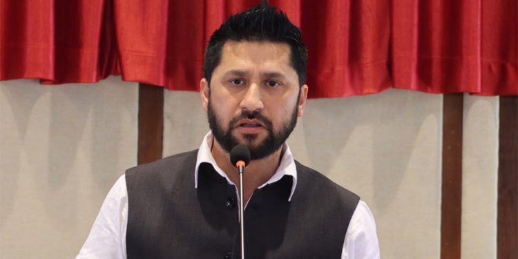 मन्त्रीका काममा प्रश्न उठ्नु स्वाभाविक हो : रवि लामिछाने