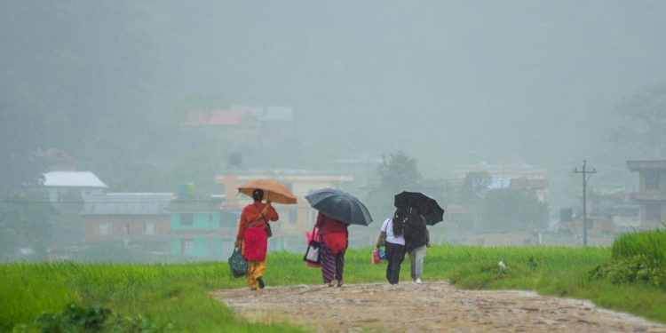मनसुन सक्रियः मधेससहित अधिकांश क्षेत्रमा वर्षा, सतर्क रहन आग्रह