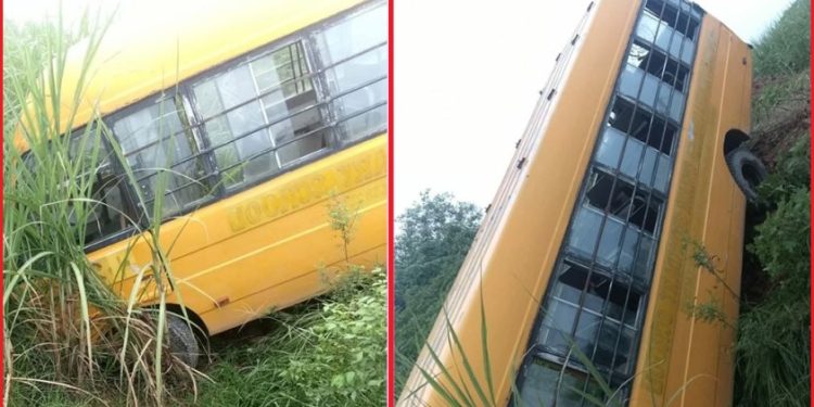 गौशालामा स्कुल बस उखुबारीमा खस्यो, ६ जना घाइते