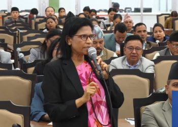 गरिमाको परिवारलाई न्याय दिलाउन सरकारसँग पद्मा अर्यालको माग