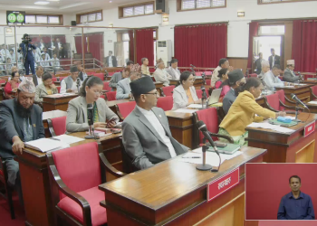 ‘कहिलेसम्म ग्यास पाइन्छ?’ राष्ट्रिय सभामा सरकारसँग प्रश्न