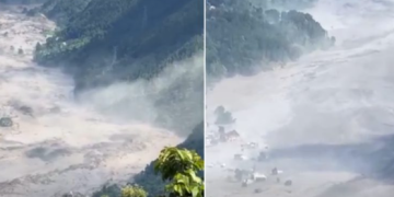 भोटेकोशी बाढीको वितण्डा, रसुवाका जलविद्युत् आयोजना प्रभावित