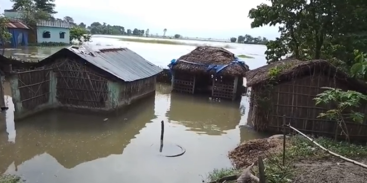 सप्तकोशीको बाढी बस्तीमा पस्दा सयौँ घर डुबानमा