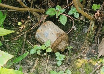 सिरहाको नवटोलीमा शंकास्पद विस्फोटक वस्तु फेला