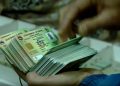 ईडीएल-भिआरएसमार्फत लाइसेन्स छपाइ सुरु