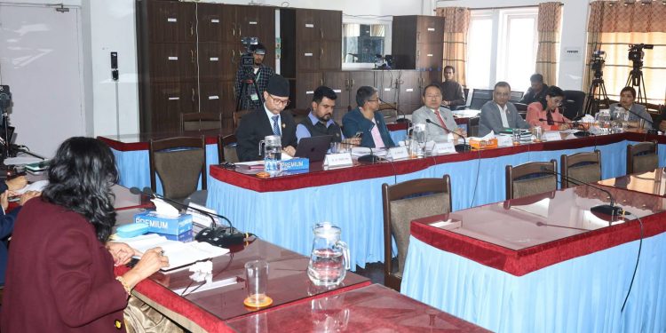लुम्बिनीलाई अन्तर्राष्ट्रिय स्तरमा चिनाउन कूटनीतिक पहल आवश्यक : पुन