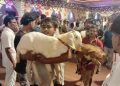 जनकपुरको राजदेवी मन्दिरमा यस वर्ष १४ हजार ८९१ बोकाबली
