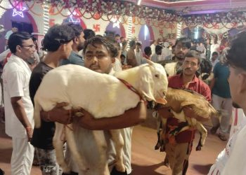 जनकपुरको राजदेवी मन्दिरमा यस वर्ष १४ हजार ८९१ बोकाबली