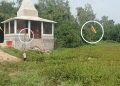 चम्पा देवी धार्मिकस्थल विवादमा दलित समुदायको न्यायको माग
