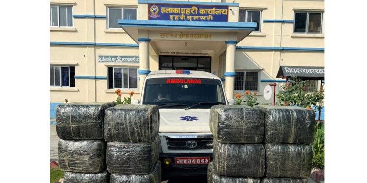 गाँजा तस्करीमा एम्बुलेन्स प्रयोग, चालक फरार