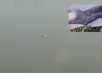 दसैँको अष्टमीका दिन धनुषामा १७ वर्षीया किशोरीको शव पोखरीमा फेला