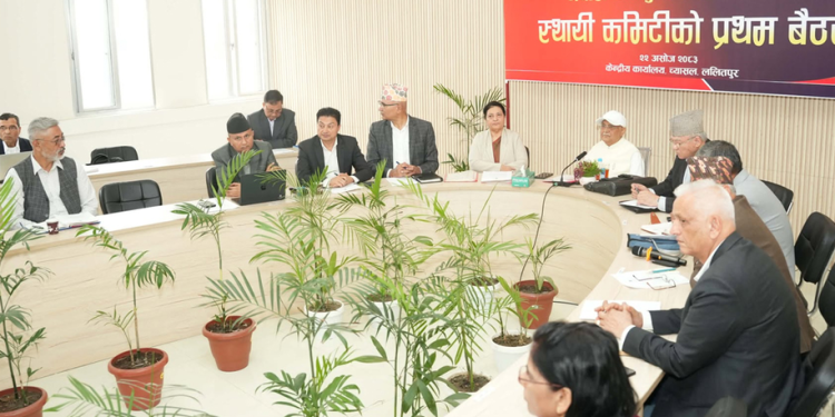 एमालेको स्थायी कमिटी बैठकबाट १३ जना केन्द्रीय सदस्यमा मनोनीत
